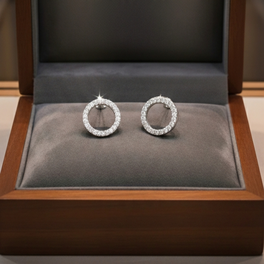 Moissanite Silver Circle Earrings